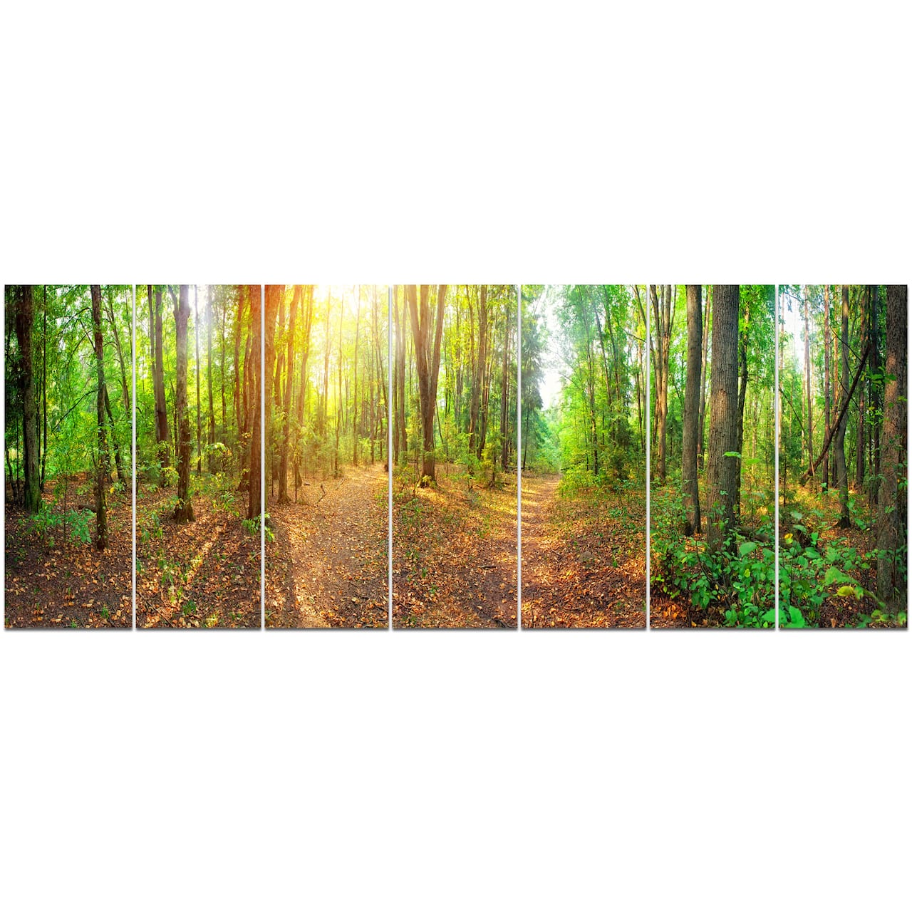 Designart - Dense Forest Panorama - Landscape Canvas Art Print